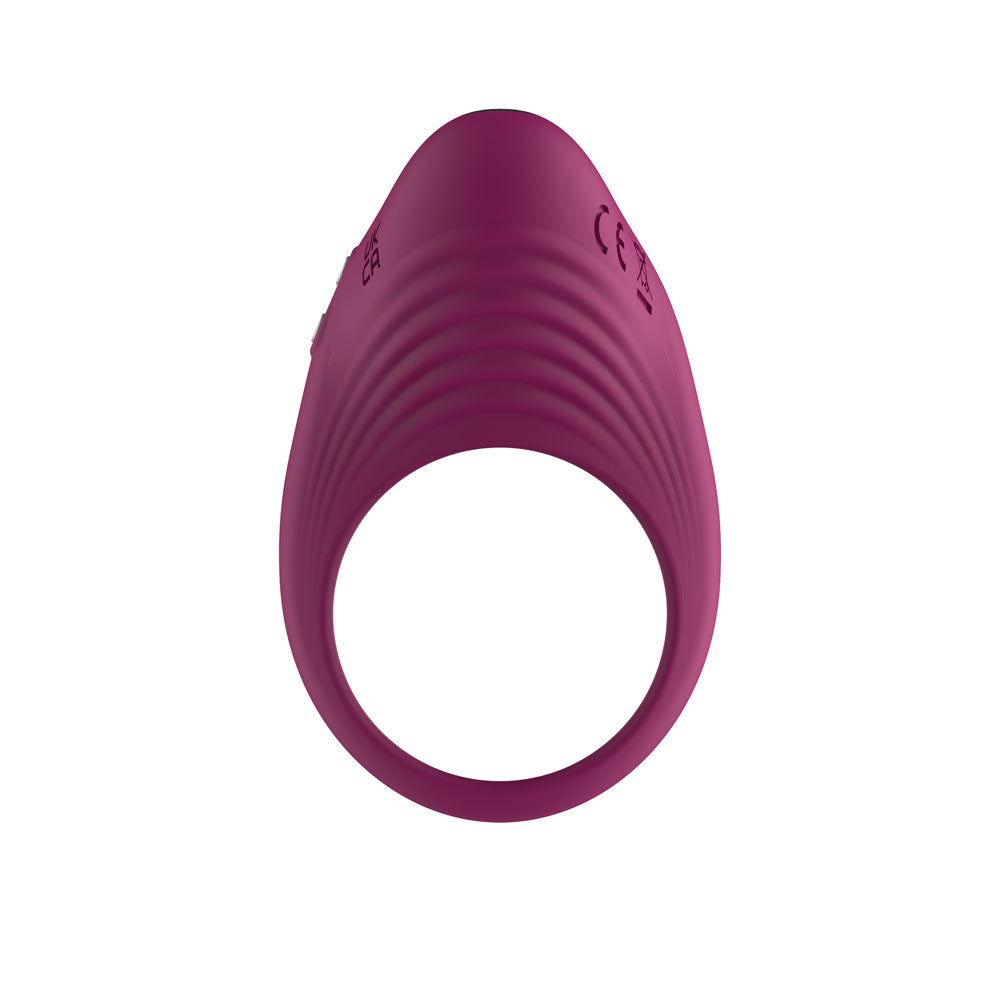Passion Play Silicone Vibrating Cockring Purple Usb Rechargeable Penis Ring
