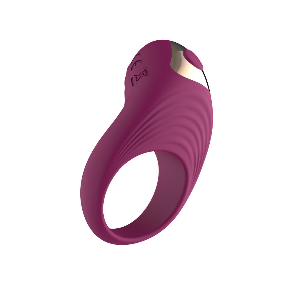 Passion Play Silicone Vibrating Cockring Purple Usb Rechargeable Penis Ring