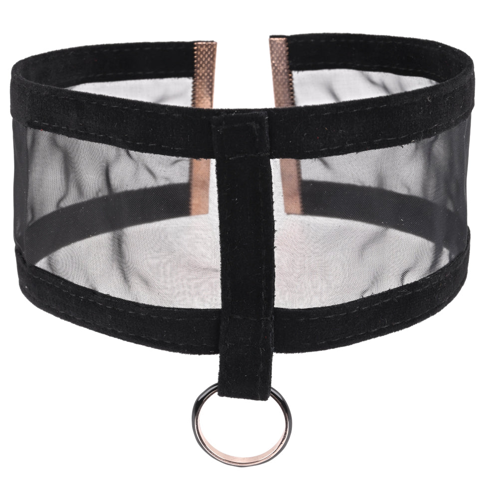 Sex & Mischief Sheer Day Collar Black Collar