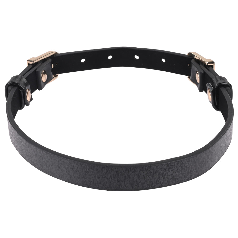 Sex & Mischief Double Buckle Day Collar Black Collar