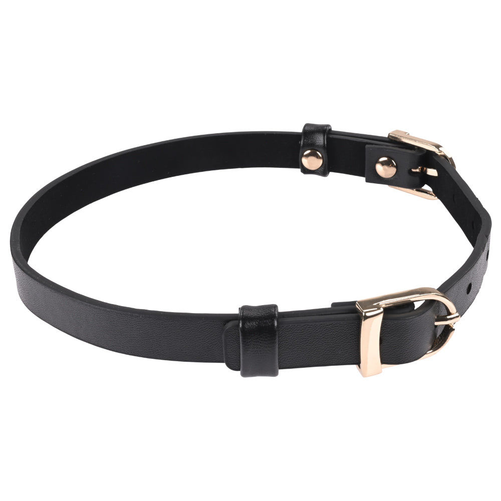 Sex & Mischief Double Buckle Day Collar Black Collar