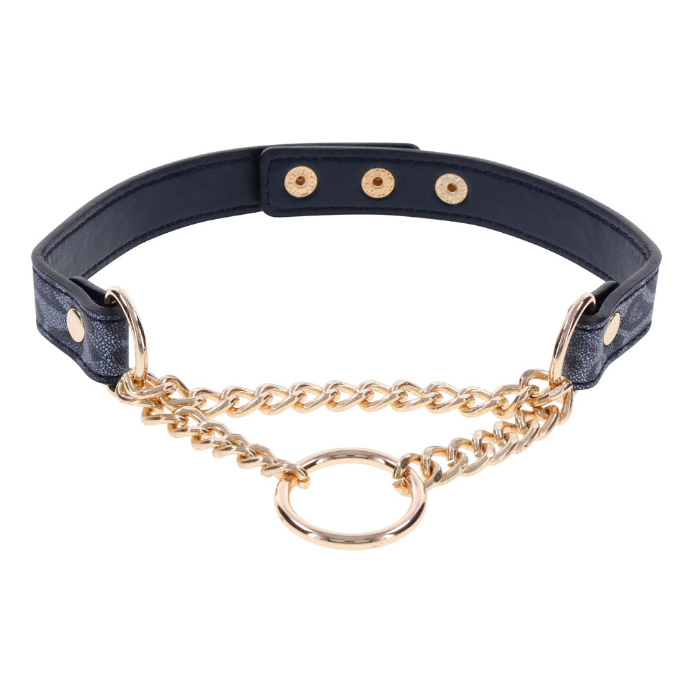 Sex & Mischief Cougar Day Collar Navy Blue/Gold Collar