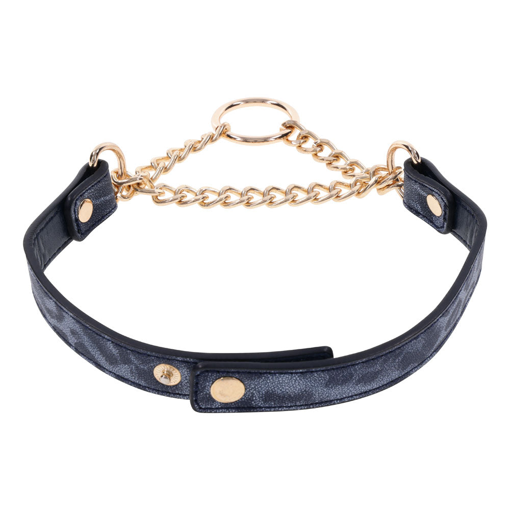Sex & Mischief Cougar Day Collar Navy Blue/Gold Collar