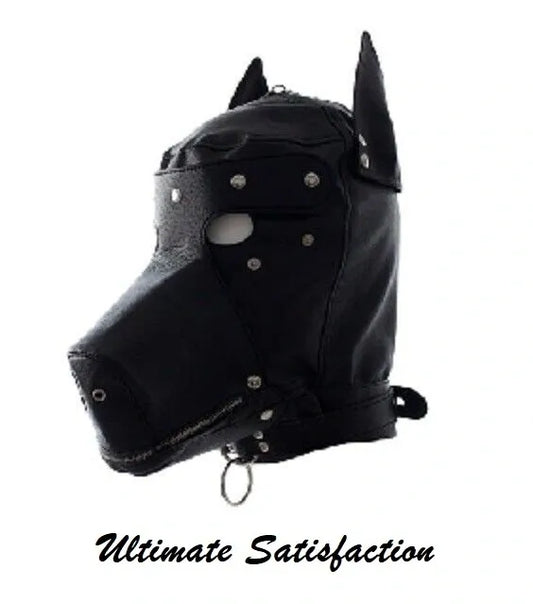 Dog Hood