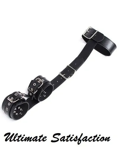 COLLAR AND WRIST BACK HARNESS