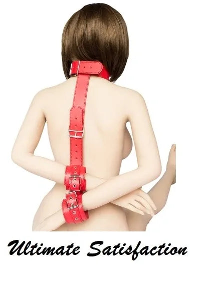 COLLAR AND WRIST BACK HARNESS