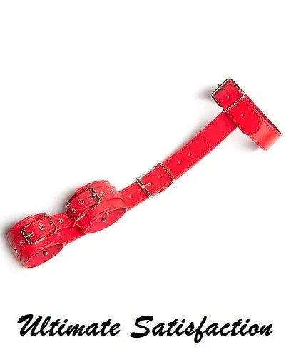 COLLAR AND WRIST BACK HARNESS